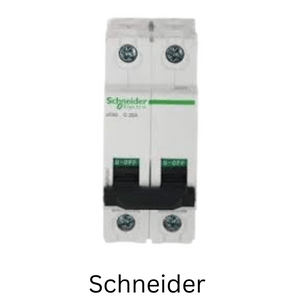 Schneider Double Pole